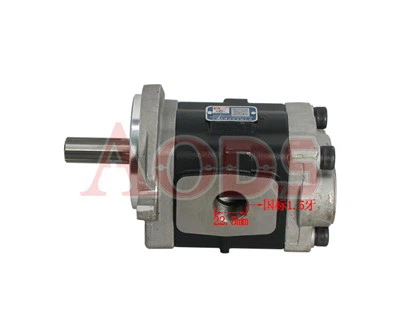 Bomba hidráulica JR200-622000-500 para carretilla elevadora eléctrica Hc "J"/H16