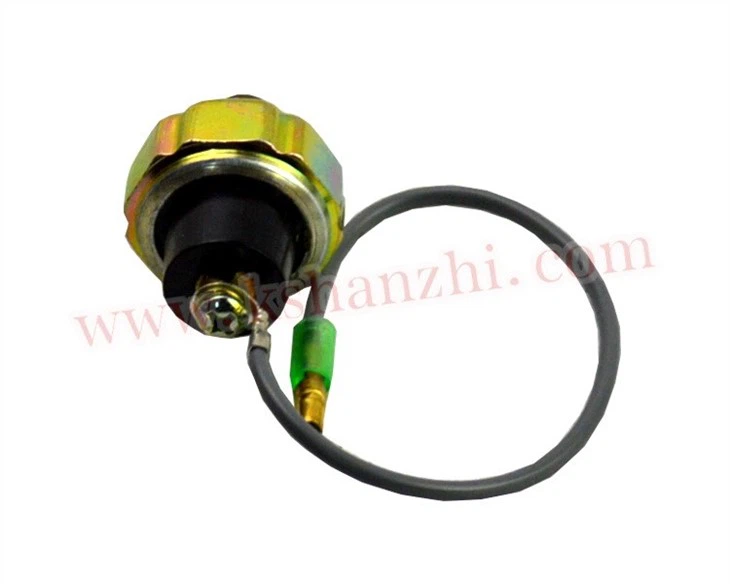 Engine Parts C240/4JG2/493 Oil Pressure Sensor
